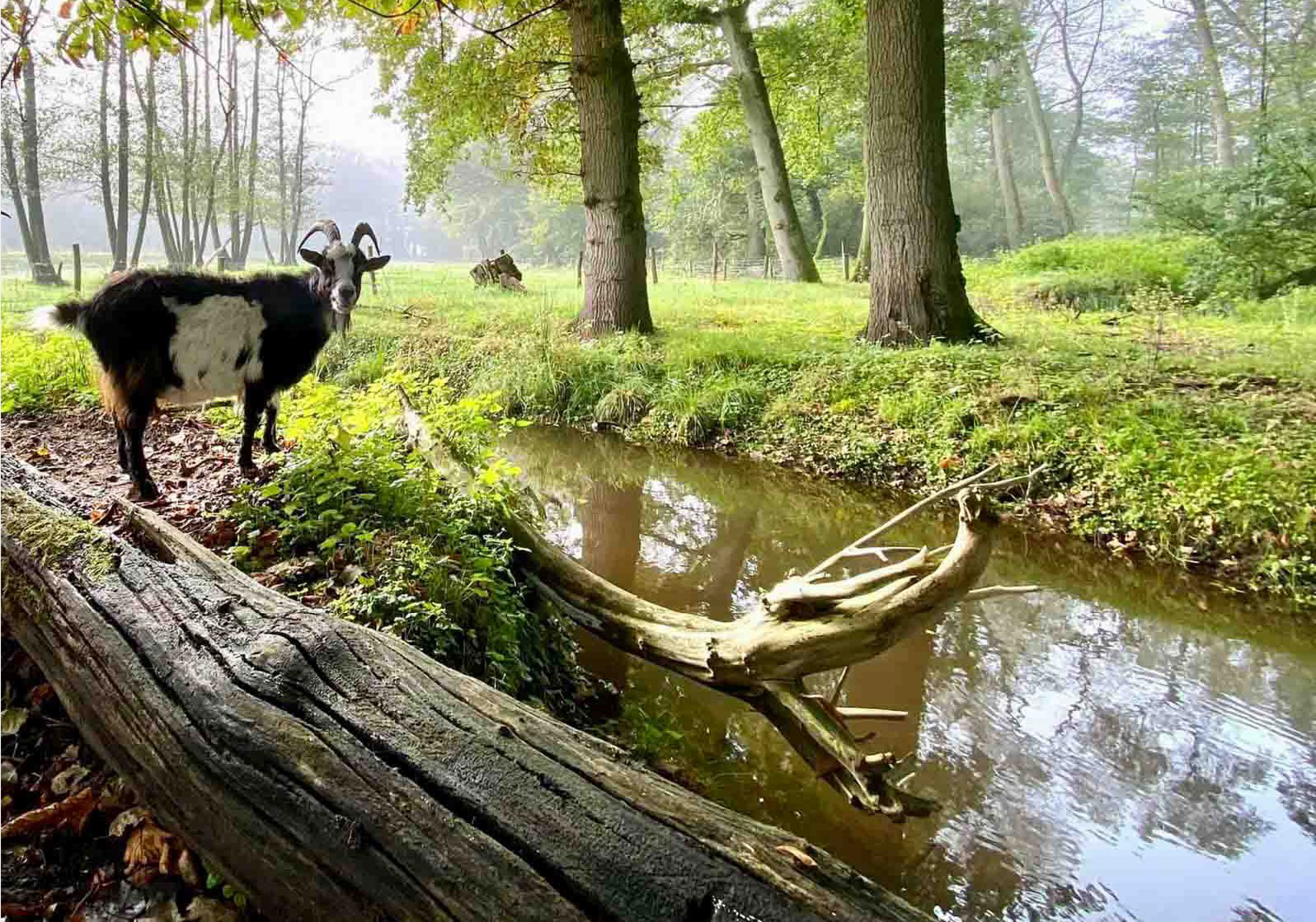Landgoederen